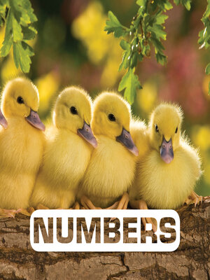 Numbers - ebook